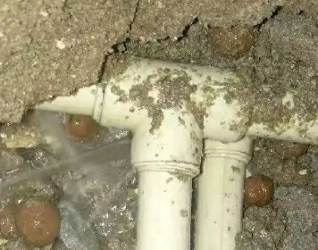 陈仓测漏水多少钱