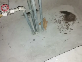 陈仓卫生间测漏水价格明细