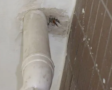 陈仓漏水检测哪家好